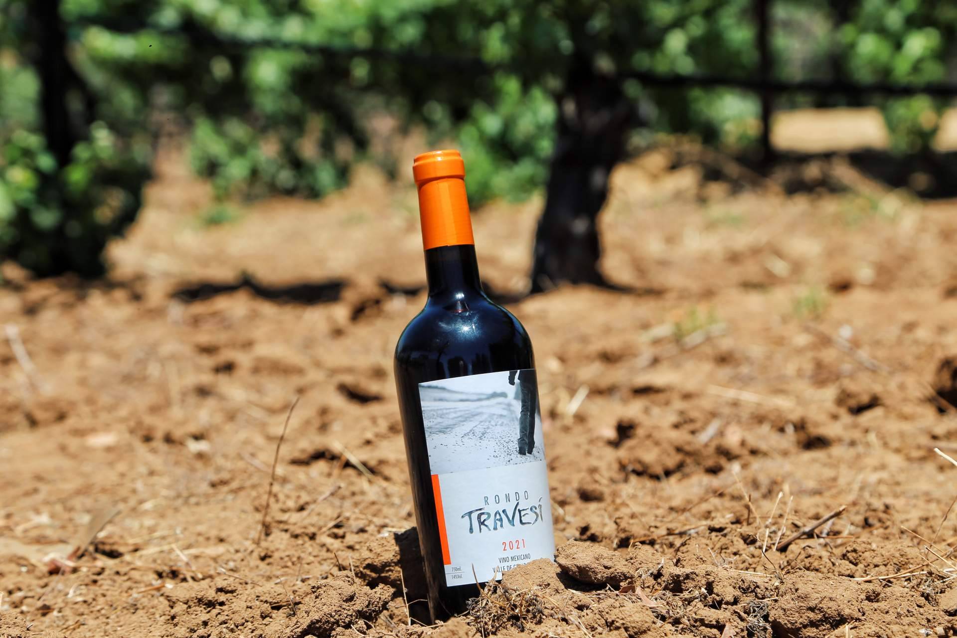 Descubrir vinos selectos de alta calidad mediante experiencias enoturisticas con Rondo del Valle